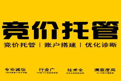 竞价广告的创意与执行：一则经典案例剖析
